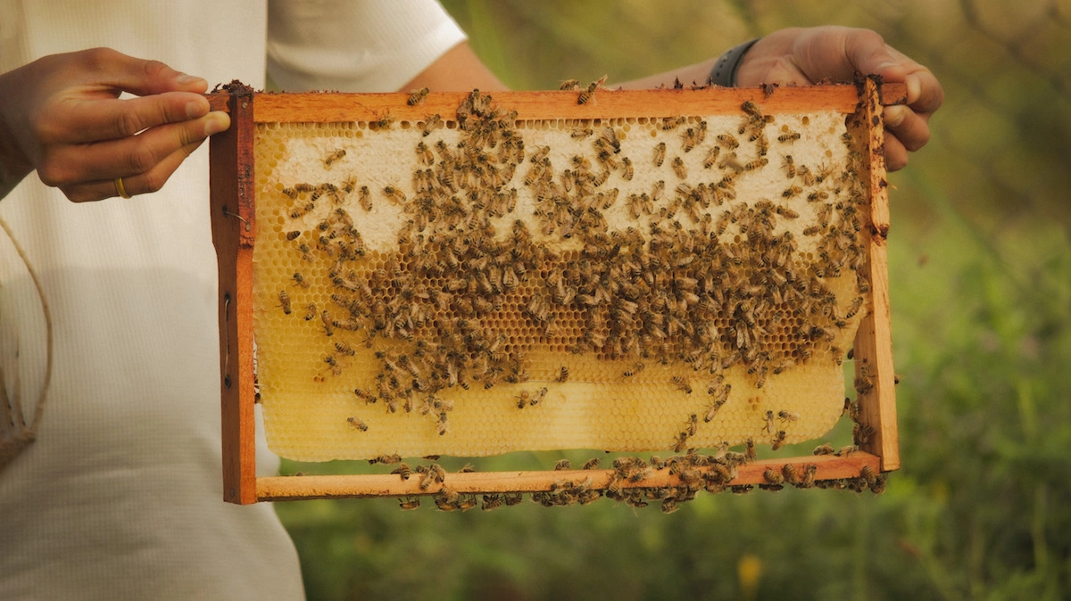 PROTECTING
OUR PLANET